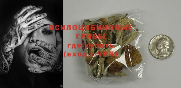 индика Кукмор