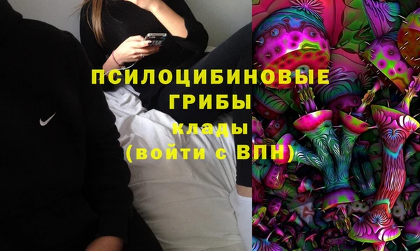 индика Кукмор