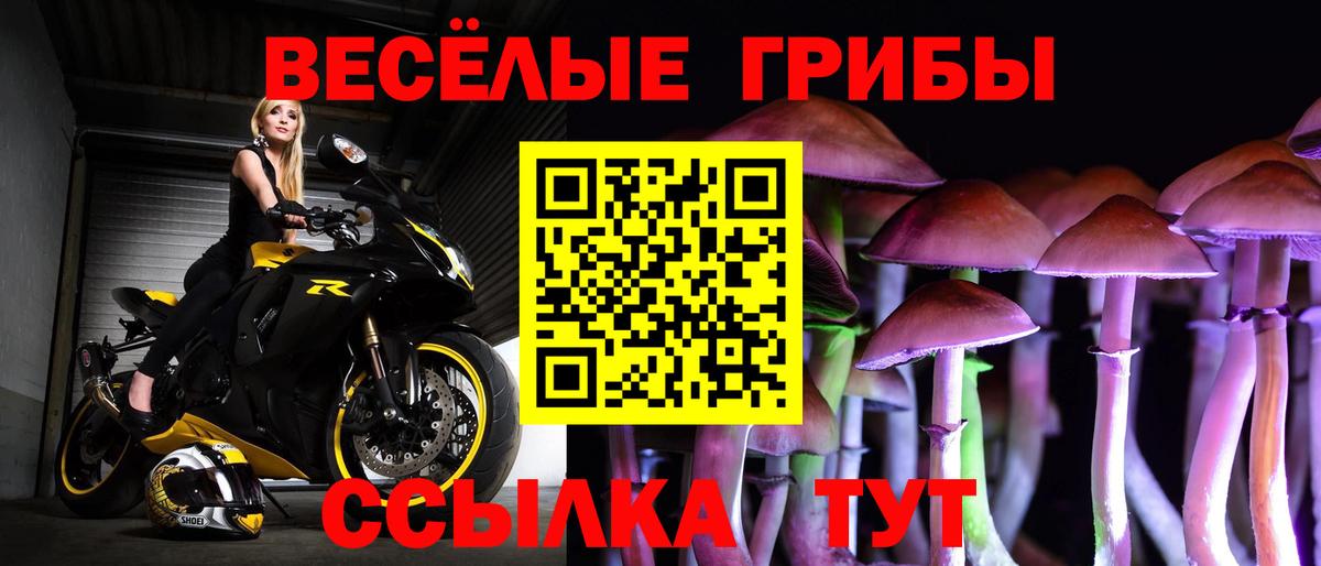 Псилоцибиновые грибы Magic Shrooms Домодедово