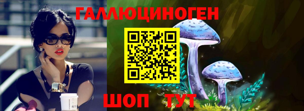 Домодедово  Галлюциногенные грибы Psilocybine cubensis  Вход с VPN 